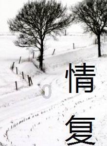 三国快打电脑版4