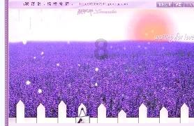 一起捕鱼吧