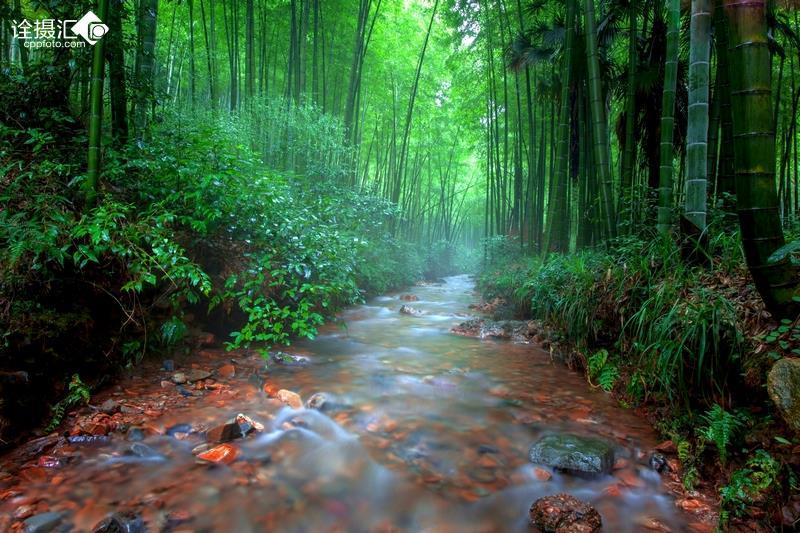 劫后余生：夺回