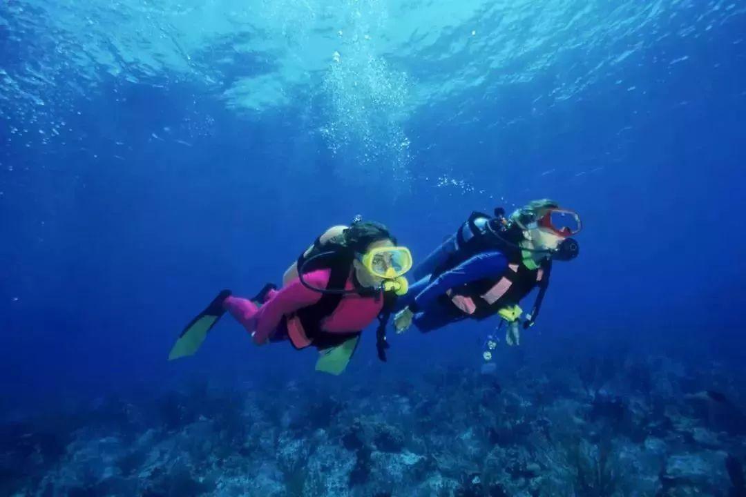 七大洲面积分别是多少？