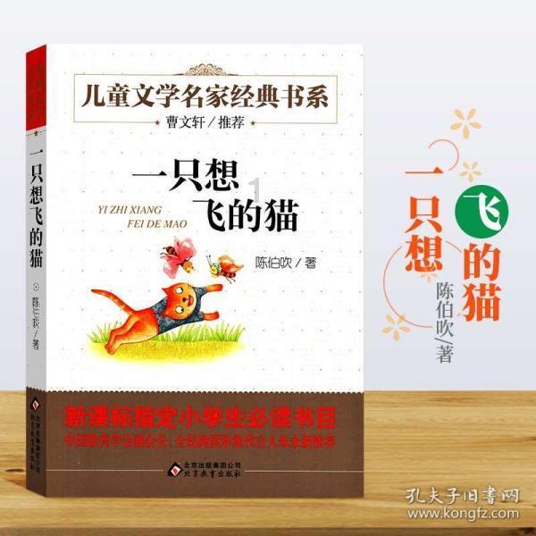 火龙冒险