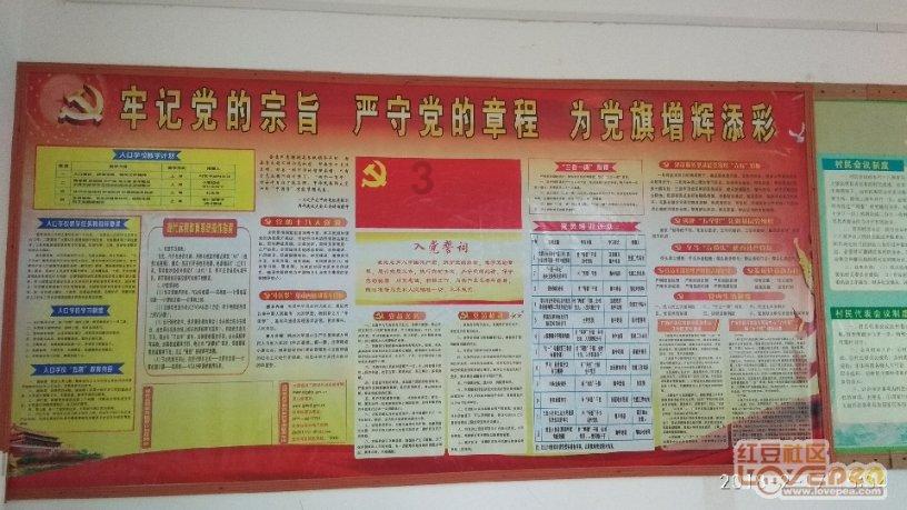 疯狂之冠