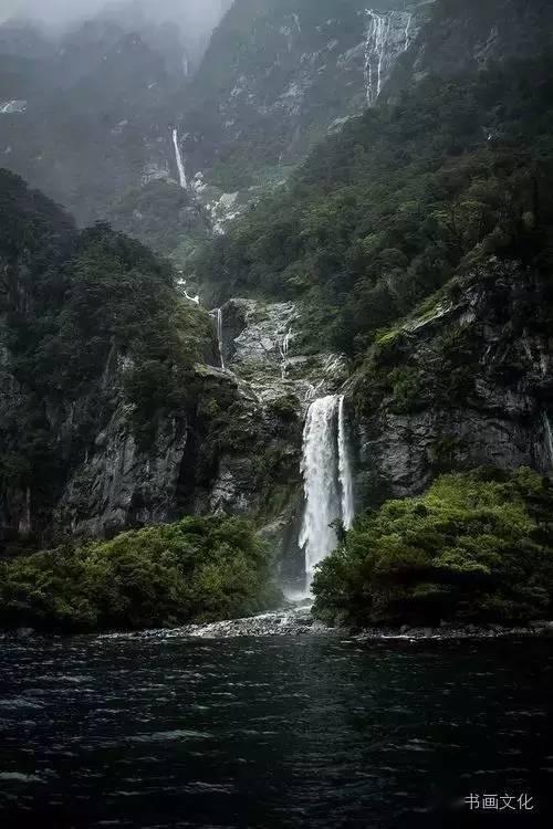 雨后盛放