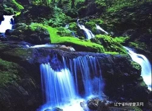 动物帮帮忙保卫家园