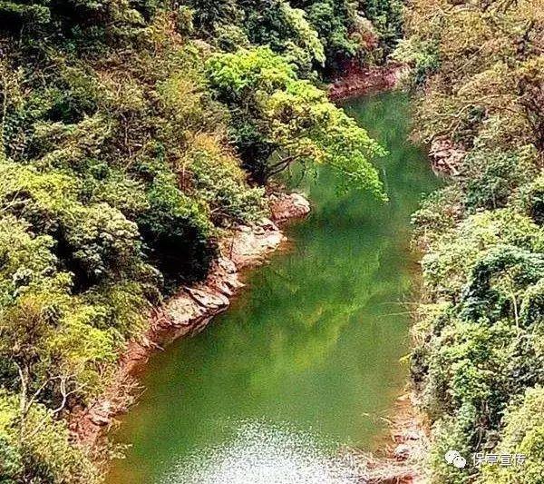 逃离医生的家