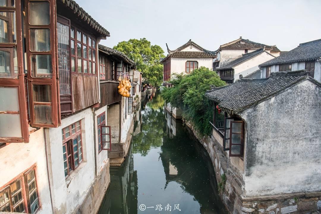 学习插花艺术