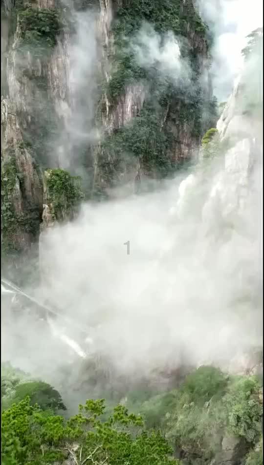 贪吃鼠吃豆豆